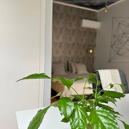 Apartamento No Centro De Apartament